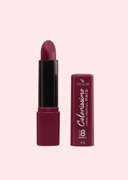 VOGUE LABIAL COLORISS CANELA INTENSA 4GR