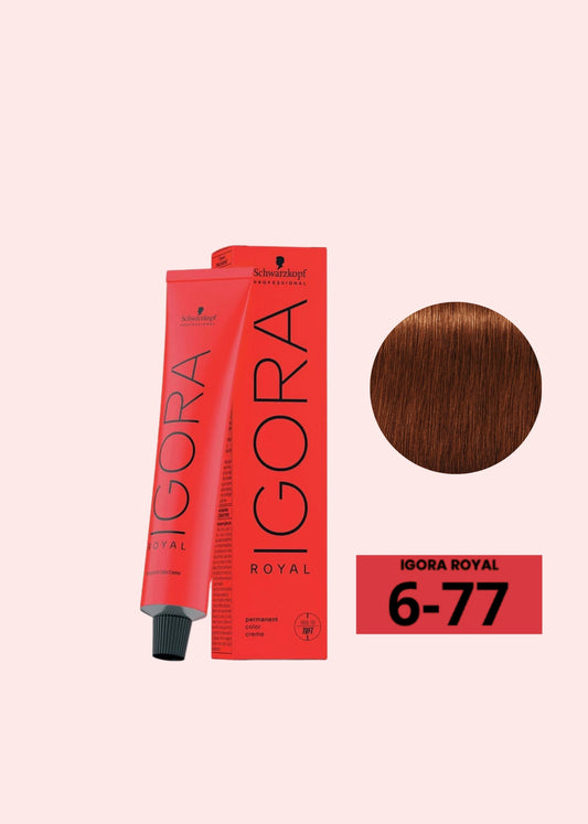Igora Royal Tinte 6 77   60 Ml