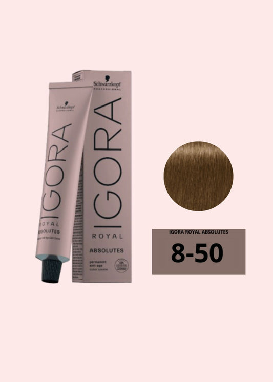 IGORA ABSOLUTES TINTE  8-50  60ML