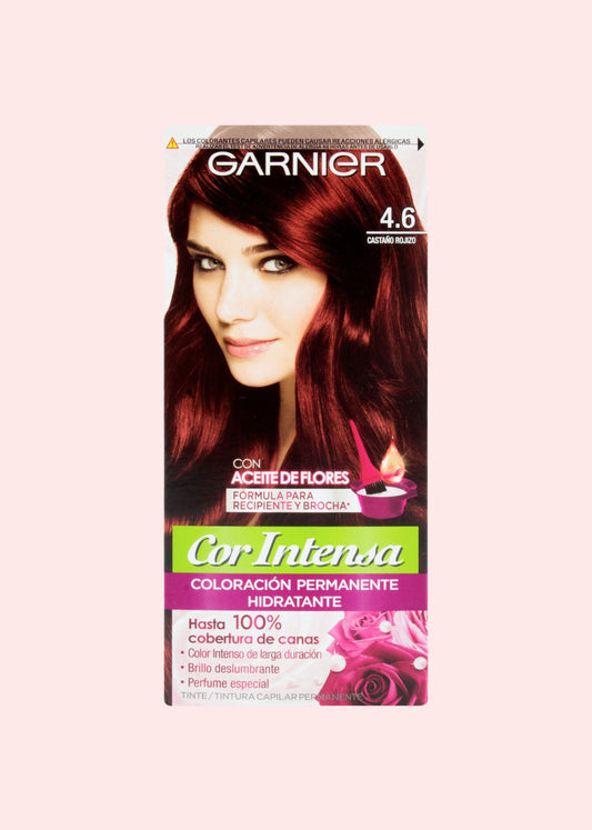 Garnier Mascarilla Hair Food Manteca De Cacao 350Ml