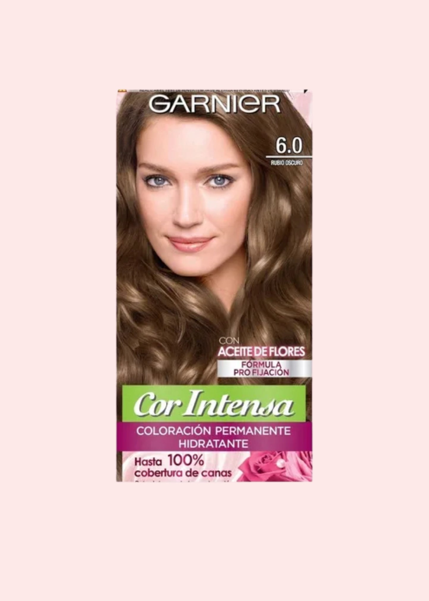 Garnier Shampoo Fructis Hair Food Aguacate Sh 300 Ml